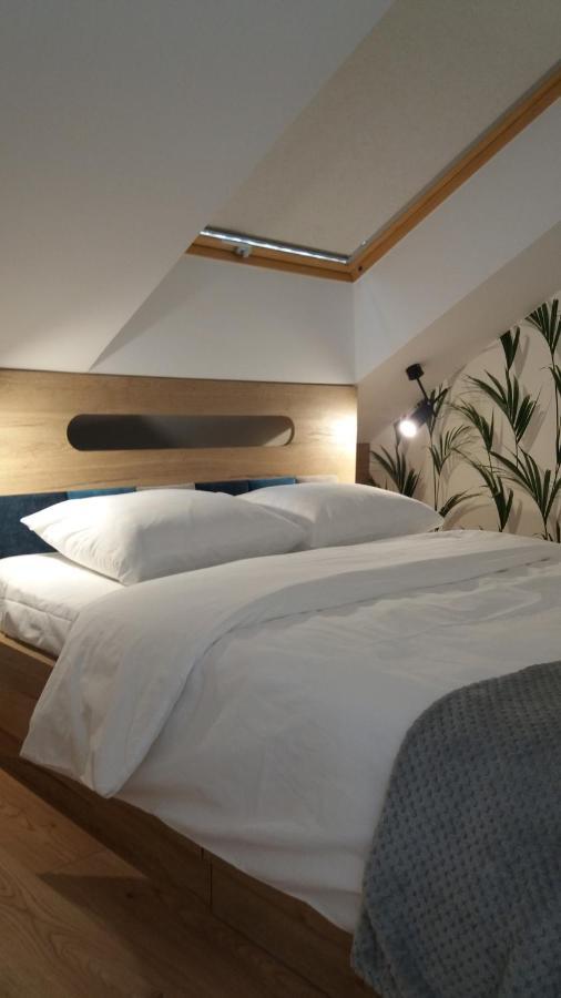 Apartament Limanowskiego Krasków Εξωτερικό φωτογραφία